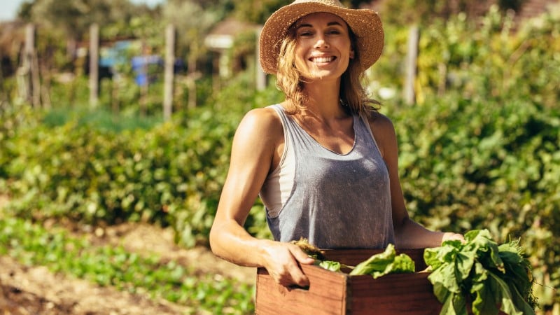 A young prune picker orcharding in a farm.